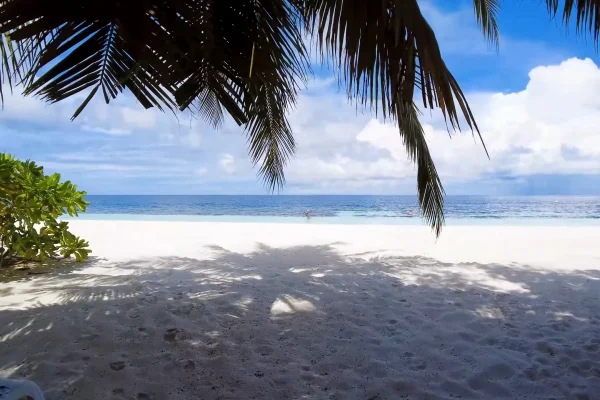 Paradies auf Erden_ Entdecke die atemberaubende Schönheit von Angaga Island auf den Malediven (14)
